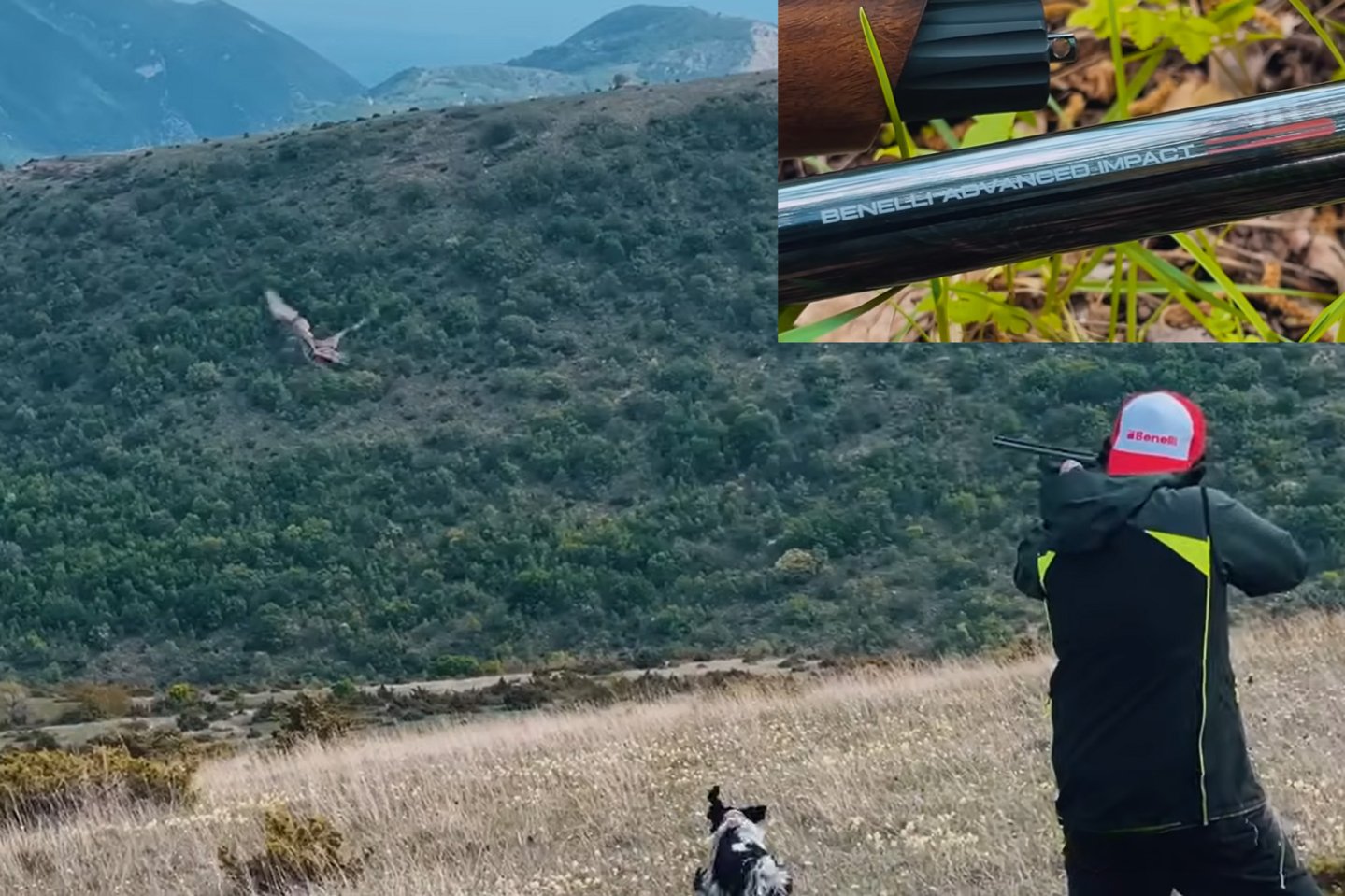 Praxistest mit Video: Das Benelli Advanced Impact System in der Selbstladeflinte Raffaello und der Bockflinte 828 S  Praxistest mit Video: Das Benelli Advanced Impact System in der Selbstladeflinte Raffaello und der Bockflinte 828 S
