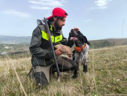 Praxistest mit Video: Das Benelli Advanced Impact System in der Selbstladeflinte Raffaello und der Bockflinte 828 S  Jäger mit Hund und Beute, die gebrochene Bockflinte Benelli 828 S AI über der Schulter.