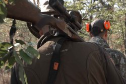 Jagen im Dickbusch von Südafrika