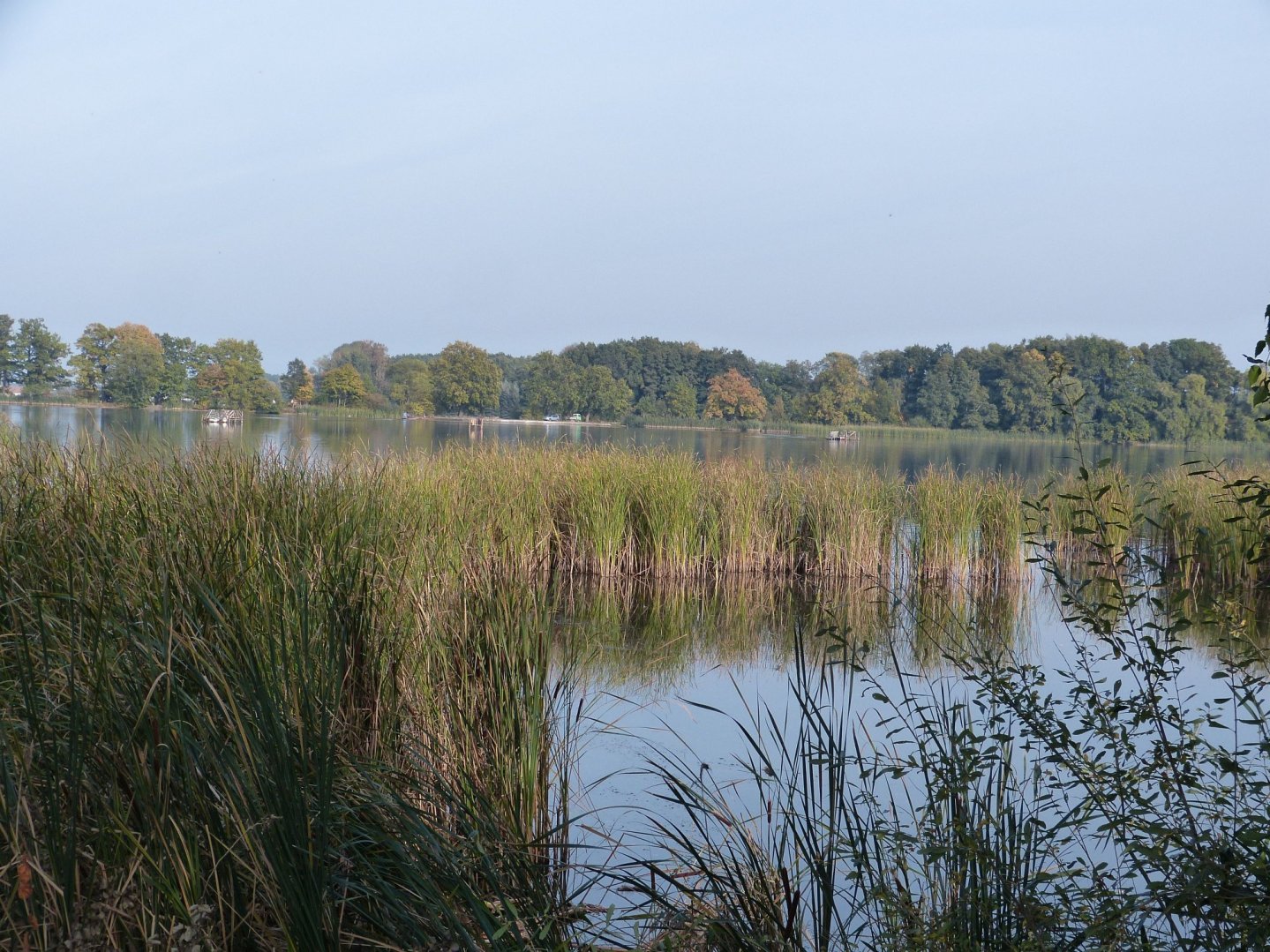 Teichgut Döbra, mitten in einer 1000 Hektar großen Teichlandschaft