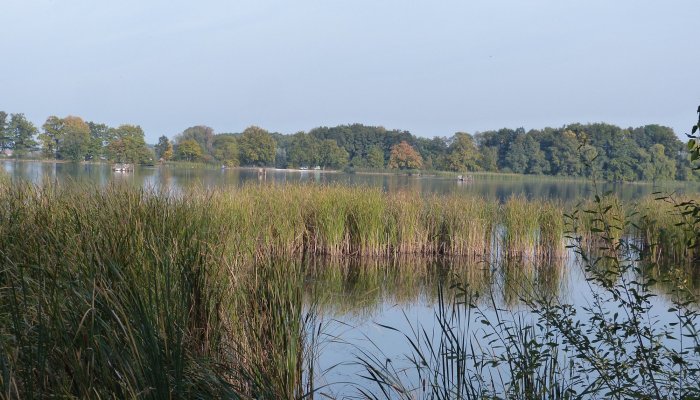 Jagdreisen: Wohin beim nächsten Jagdausflug? Gemeinsam mit den Hunden zur Entenjagd ins Teichgut Döbra in Sachsen!