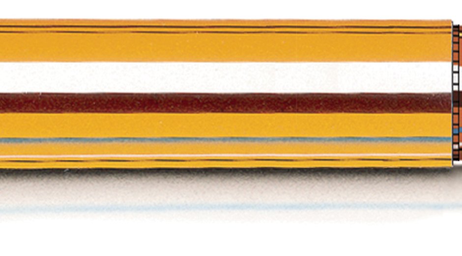 Kaliber .450 Marlin im Test bei der Sauenjagd