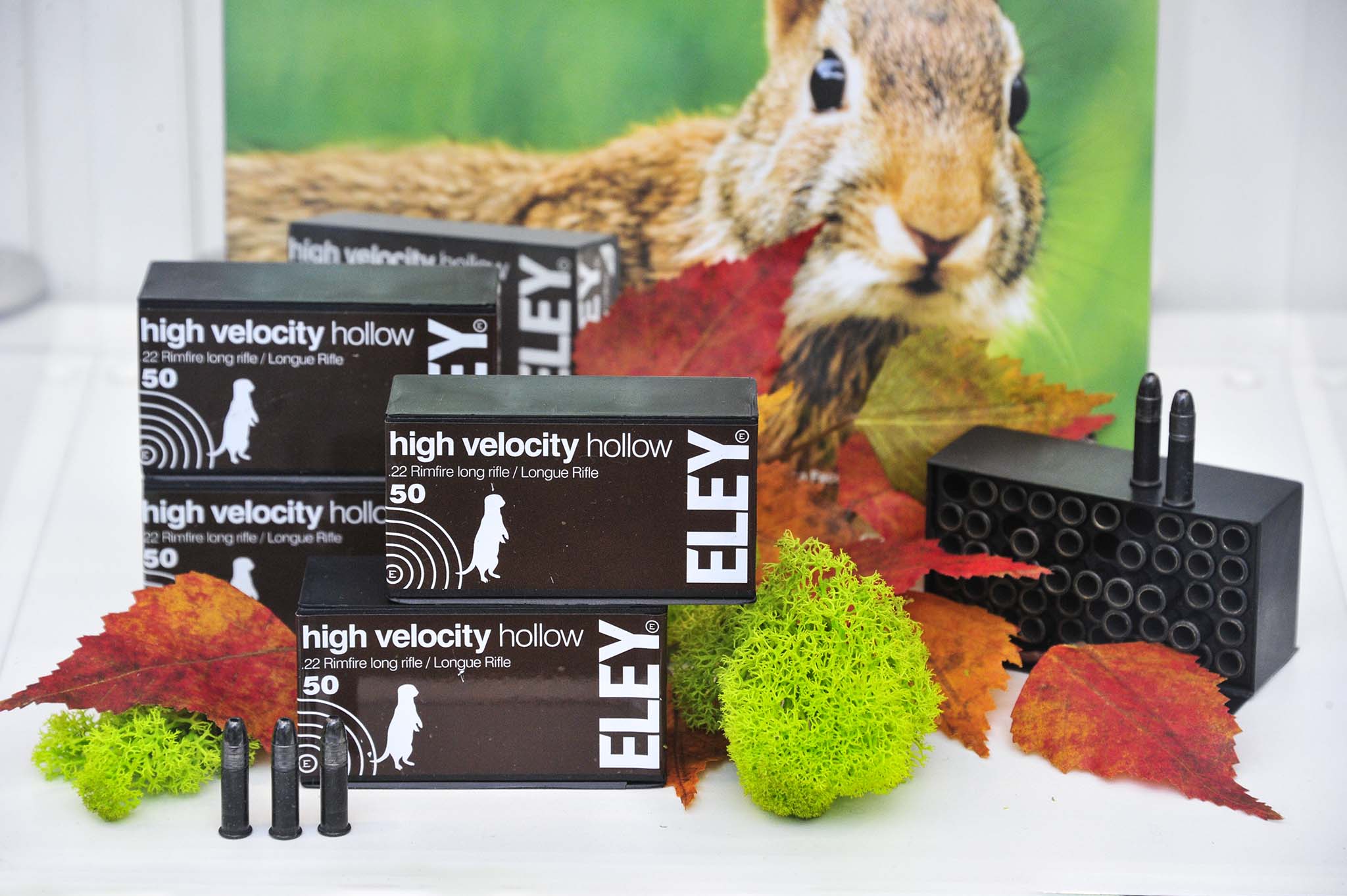 eley-limited: ELEY High Velocity Hollow Jagdmunition im Kaliber .22 lfB eley-limited: ELEY High Velocity Hollow Jagdmunition im Kaliber .22 lfB