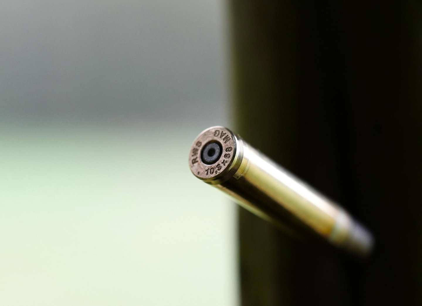 RWS 10,3x68 Mag. Jagdpatrone als Universalkaliber Hülse einer Patrone RWS 10,3x68 Magnum