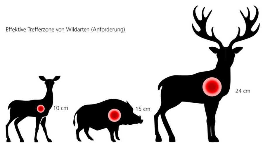 Jagd auf weite Distanzen Trefferzonen von Wildarten