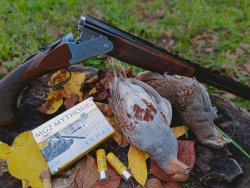 Auf der Jagd mit Baschieri & Pellagri MG2 Mythos Schrotpatronen Unterschiedliche Laborierungen der Baschieri & Pellagri MG2 Mythos