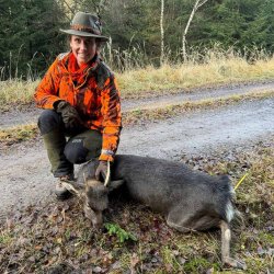 Mit der bleifreien Munition von RWS auf der Drückjagd – DRIVEN HUNT, EVOLUTION GREEN und HIT in der Praxis Jagderfolg mit der EVO Green von RWS