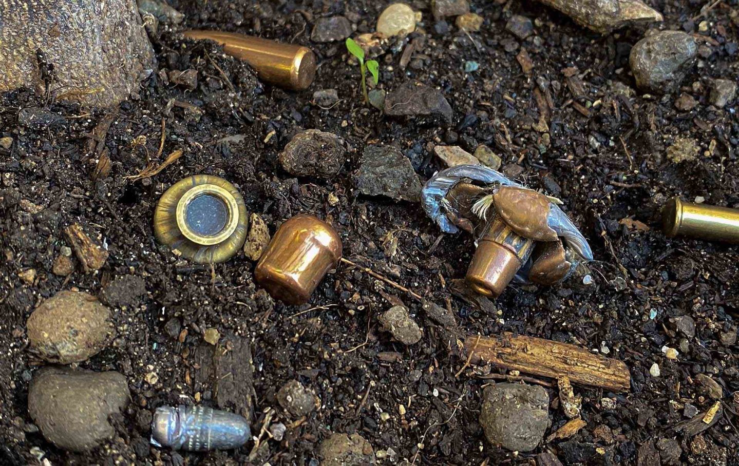 Verbot von Blei in Munition: Die Argumente der ECHA beginnen zu bröckeln. Wir sagen Ihnen, warum dieses Verbot der völlig falsche Weg ist – und was wir alle heute noch tun können, es zu verhindern Verbot von Blei in Munition: Die Argumente der ECHA beginnen zu bröckeln. Wir sagen Ihnen, warum dieses Verbot der völlig falsche Weg ist – und was wir alle heute noch tun können, es zu verhindern