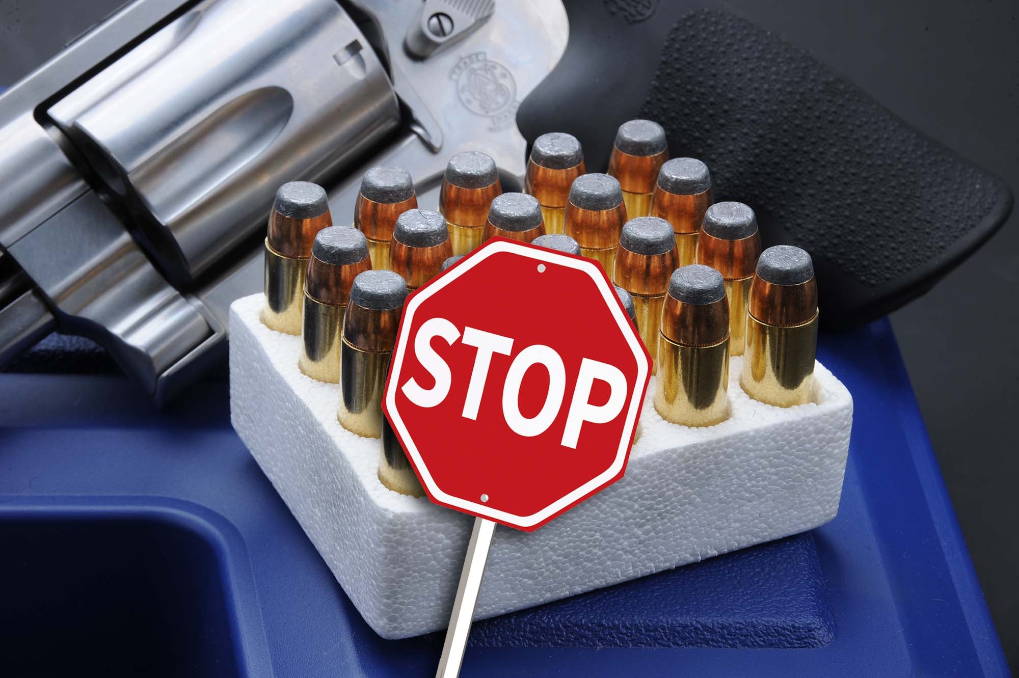 waffengesetz: Wie erwartet: Das ist der Plan der ECHA für ein vollständiges Verbot von Blei in Munition in allen Umweltbereichen