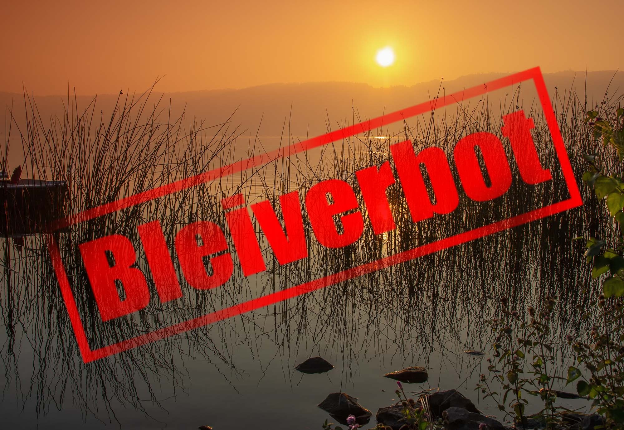 munition: Bleiverbot in Munition: Kein Fairplay einer EU-Institution! FACE beantragt Wiedereröffnung der Konsultationsphase