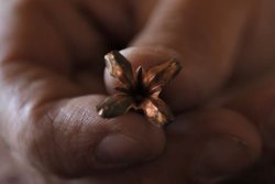 GECO ACTION EXTREME aufgepilzt nach Schusstest mit charakteristischen 4 Fahnen