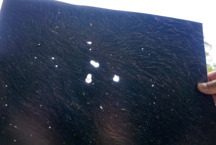 Geschossablenkung: Auswirkung von vier üblichen Hindernissen beim Einsatz von Blei- und bleifreier Munition Geschossablenkung: Auswirkung von vier üblichen Hindernissen beim Einsatz von Blei- und bleifreier Munition