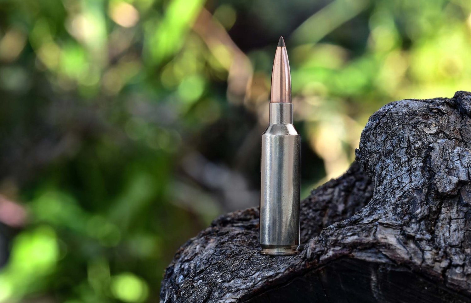 6,8 Western Browning und Winchester debütieren mit neuem Long RangeKaliber für Jagd und