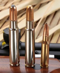 Patronen für die Großwildjagd Teil 2: Kaliber .416 Rigby – Eine Universalpatrone für starkes Wild