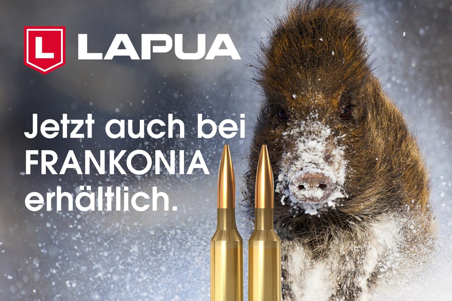 LAPUA-Munition jetzt bei Frankonia erhältlich: Finnische Präzision für Jäger, Sportschützen und Wiederlader LAPUA-Logo und der Claim "Munition jetzt auch bei Frankonia erhältlich", im Hintergrund stapft ein Wildschwein im Schnee heran, im Vordergrund sind Patronen abgebildet