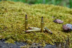 Neue NORMA Randfeuerpatronen: .17 HMR V-MAX und .22 WMR JHP für Kleinwild und Raubzeug NORMA Randfeuerpatronen .17 HMR V-MAX fuer Kleinwild und Raubzeug einzeln in der Uebersicht