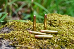 Neue NORMA Randfeuerpatronen: .17 HMR V-MAX und .22 WMR JHP für Kleinwild und Raubzeug NORMA Randfeuerpatronen .22 WMR JHP fuer Kleinwild und Raubzeug einzeln in der Uebersicht