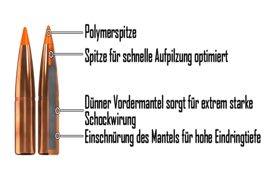 Schnittbild