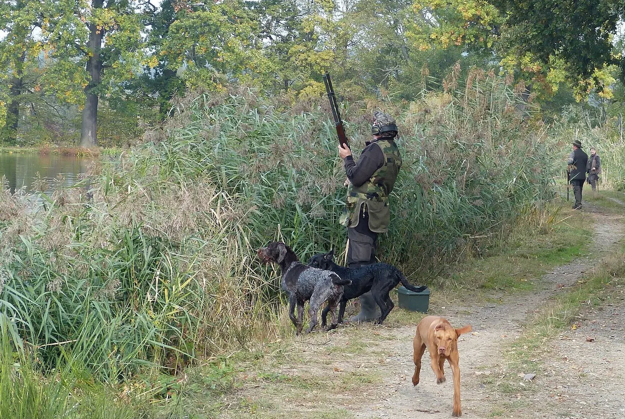 rottweil: Patronen-Portrait: ROTTWEIL Game Edition, Schrotpatronen nach Maß – auch bleifrei für die Jagd auf Wasservögel rottweil: Patronen-Portrait: ROTTWEIL Game Edition, Schrotpatronen nach Maß – auch bleifrei für die Jagd auf Wasservögel