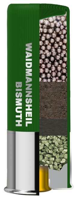 Rottweil Waidmannsheil Bismuth Schnittbild