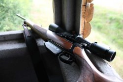 Blattjagd auf den Rehbock mit RWS EVO GREEN Waffe mit montiertem Zielfernrohr liegend im Ansitz.