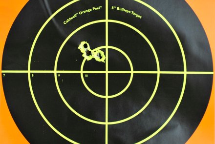 RWS HIT .308 Winchester at 100 m RWS HIT .308 Winchester at 100 m