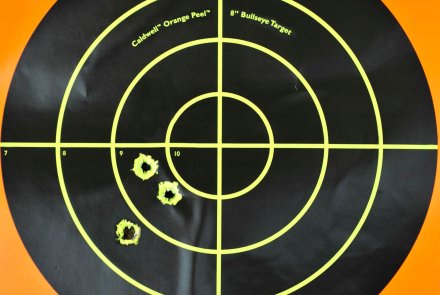 RWS HIT .308 Winchester at 200 m RWS HIT .308 Winchester at 200 m