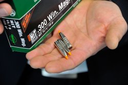 RWS HIT .30 caliber RWS HIT .30 caliber