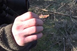 Welche Vorteile bietet die RWS HIT für passionierte Rehwildjäger? Pirschzeichen bei der Bockjagd mit der RWS .30-06 HIT