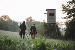RWS Jungjägeraktion – Patronenetui gratis für den Kauf von 60 Patronen RWS Jagdmunition RWS Jungjaeger auf nebeligen feld mit ansitz hintere ansicht
