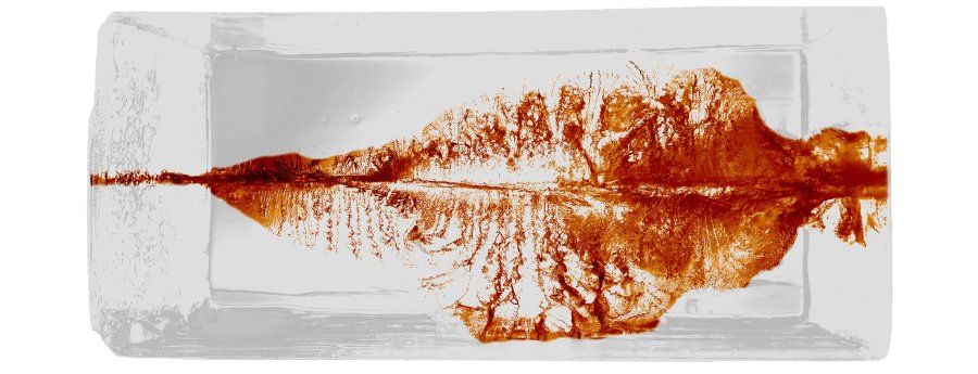 IWA 2024-Neuheiten von RWS: Erste Kurzwaffenpatrone, bleifreie Cineshot, neue Kaliber für Driven Hunt und HIT Beschusstest der DRIVEN HUNT-Drückjagdpatrone.