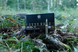 Jetzt testen Sie! RWS sucht 100 Produkttester für die neue RWS EVOLUTION GREEN Short Rifle − so werden Sie Tester! RWS Evolution Green Short Rifle in .308 Winchester eine Patrone vor der Packung, dahinter ein erlegter Hirsch