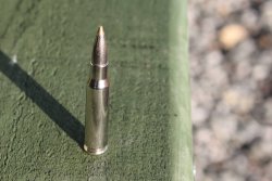 Jetzt testen Sie! RWS sucht 100 Produkttester für die neue RWS EVOLUTION GREEN Short Rifle − so werden Sie Tester! RWS Evolution Green Short Rifle in .308 Winchester einzelne Patrone in Nahaufnahme