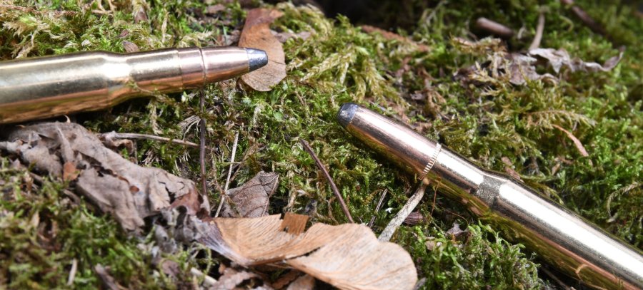 Weiche Spitze: Die Jagdpatronen SP und SPCE von Sellier & Bellot – Gemeinsamkeiten und Unterschiede Gegenüberstellung der Geschossspitzen der Teilmantelmunition von Sellier & Bellot.
