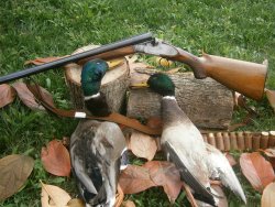 Bleiverbot: Ab dem 15. Februar 2023 darf im gesamten EWR kein Bleischrot mehr in Feuchtgebiete gelangen  Wer künftig Bleischrot in und um Feuchtgebiete mit sich führt, muss beweisen, dass er diese nicht zur Jagd in diesen Gebieten nutzen will.