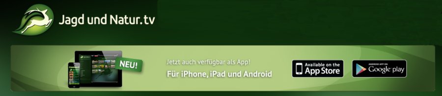 Wie gefährlich ist Blei im Wildbret? Wie gefährlich ist Blei im Wildbret?