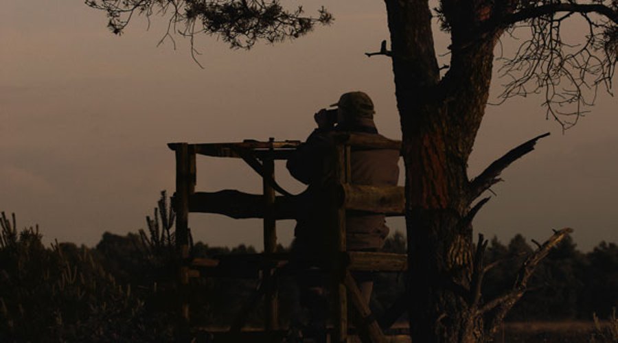 Der Klassiker: das Minox HG 8x56 Der Klassiker: das Minox HG 8x56