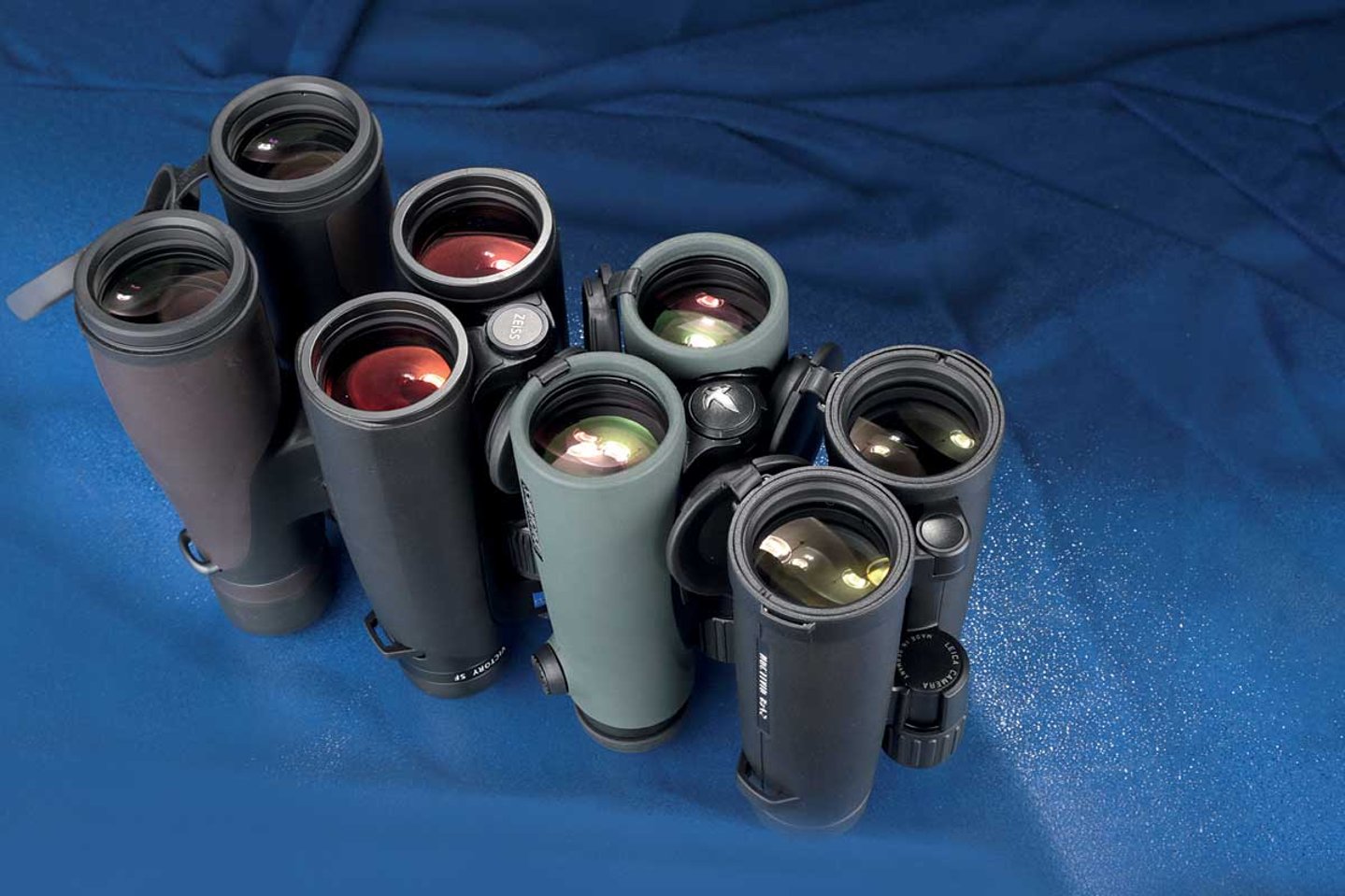 Vier Premium 8x42 Ferngläser