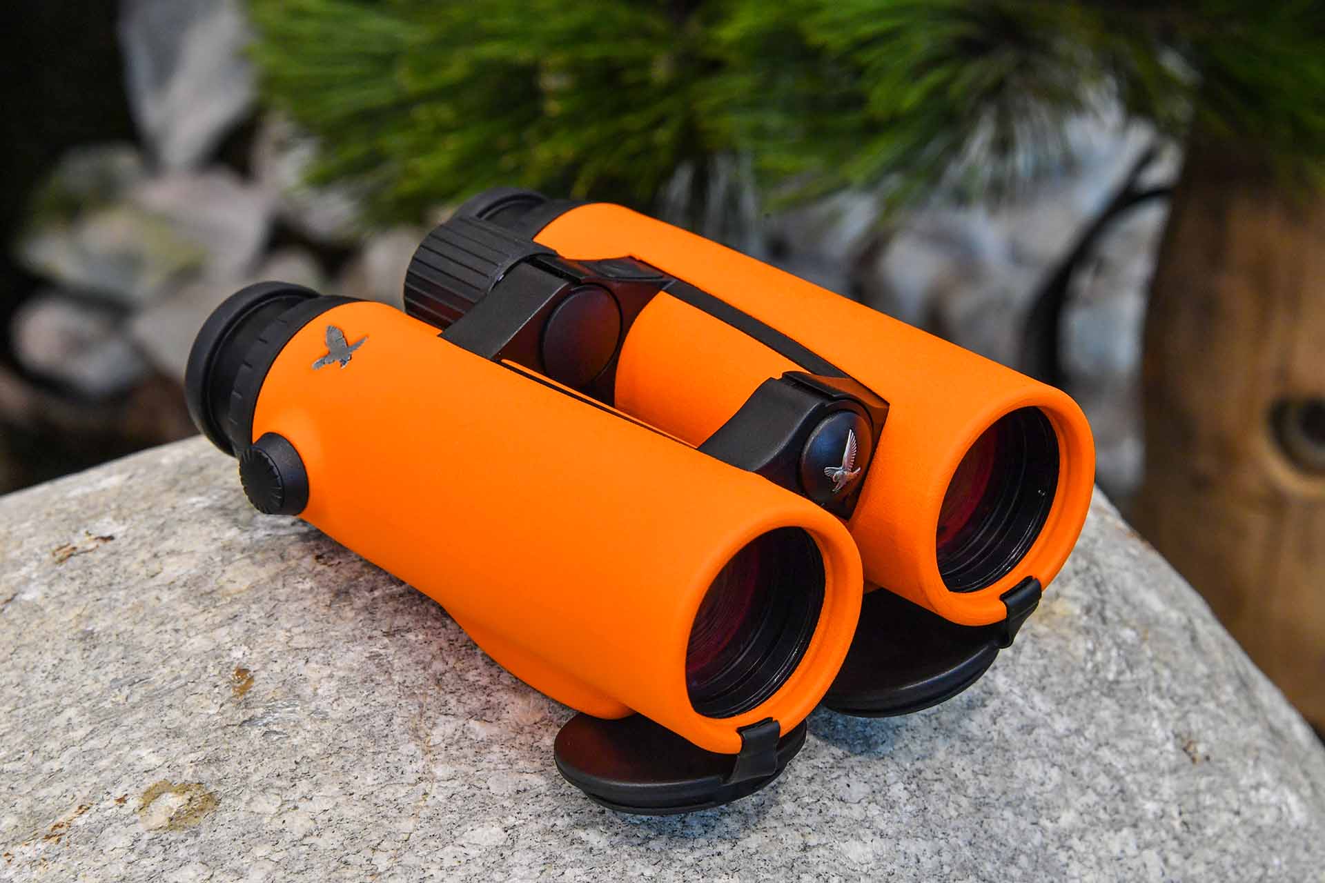 swarovski-optik: Swarovski EL O-Range: neues Fernglas in orangener Signalfarbe