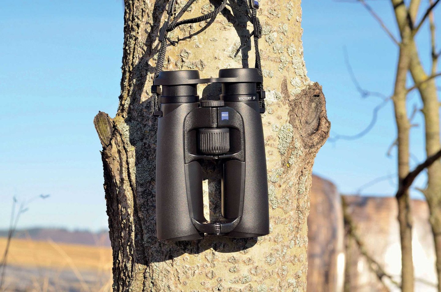 Test: ZEISS Victory SF 8x42 Fernglas Das Zeiss Victory SF 8x42 Fernglas an einem Baum hängend