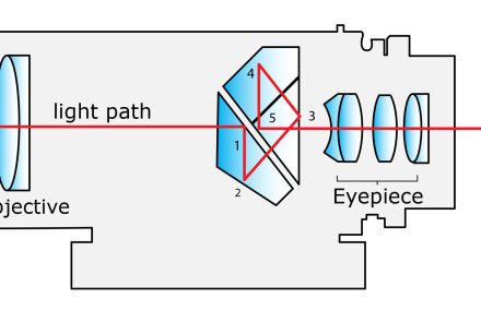 Basis-Wissen: Wie funktionieren Ferngläser? Basis-Wissen: Wie funktionieren Ferngläser?