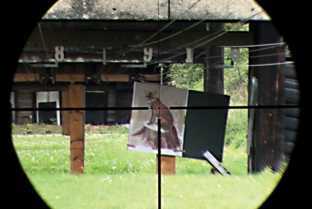 Absehen des BUSHNELL Trophy XLT 1-4 x 24 Blick durch das Bushnell Trophy XLT Drückjagd-Zielfernrohr