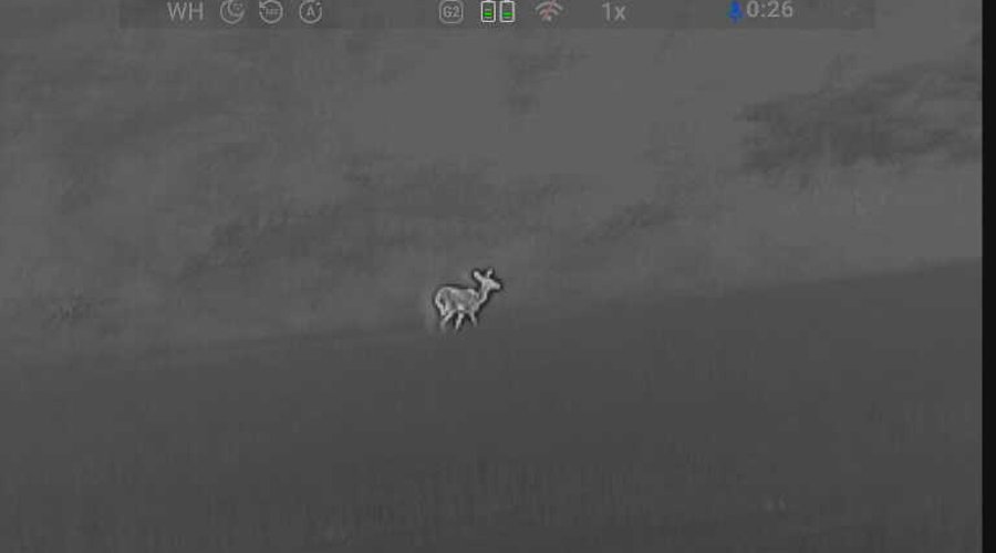 Bild aus dem CONOTECH Avata 335.