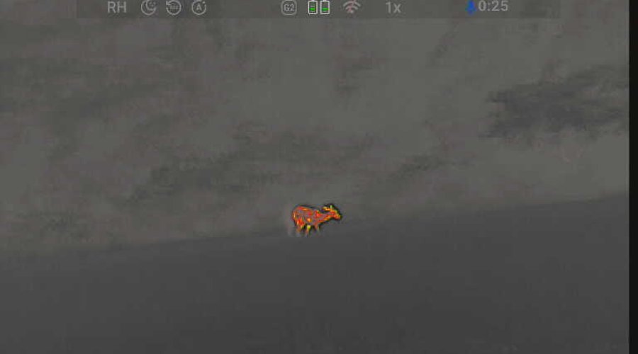 Bild aus dem CONOTECH Avata 335.