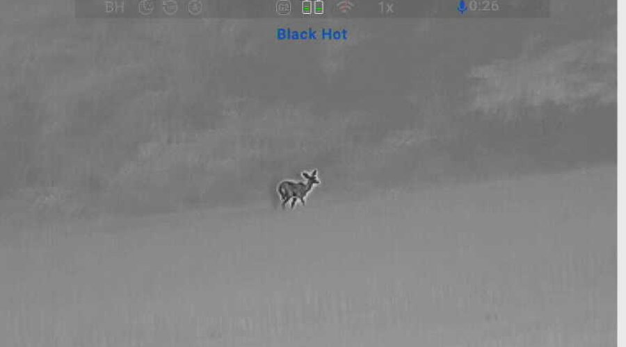 Bild aus dem CONOTECH Avata 335.