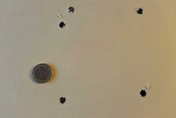 Was kann das neue Zielfernrohr GPO SPECTA 6x 3-18x56i G4i Fiber mehr als andere Jagdoptiken dieser Preisklasse? Zielscheibe mit Einschüssen vom Boxtest mit dem neuen GPO 3-18x56i G4i Fiber.