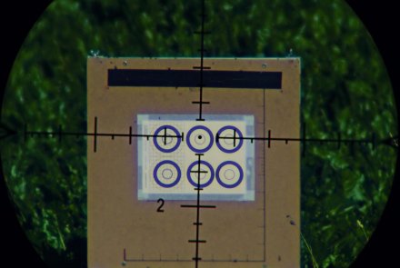 Zielfernrohr-Trio aus Chemnitz: DDoptics Nighteagle V6 5-30x50 NFX, DDMP 5-30x56 und DDMP 4-40x50 im Test