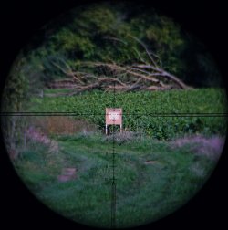 Zielfernrohr-Trio aus Chemnitz: DDoptics Nighteagle V6 5-30x50 NFX, DDMP 5-30x56 und DDMP 4-40x50 im Test