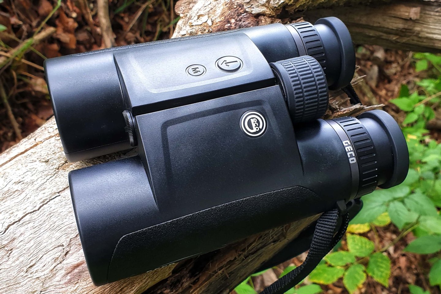 GECO 10x50 RF Fernglas auf Baumstamm Draufsicht 