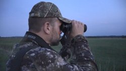 GECO Gold 10x50 Fernglas: Praxistest eines Berufsjägers Jäger mit GECO Gold 10x50 Fernglas im Revier bei schlechten Lichtverhältnissen